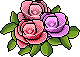 Canto rosas